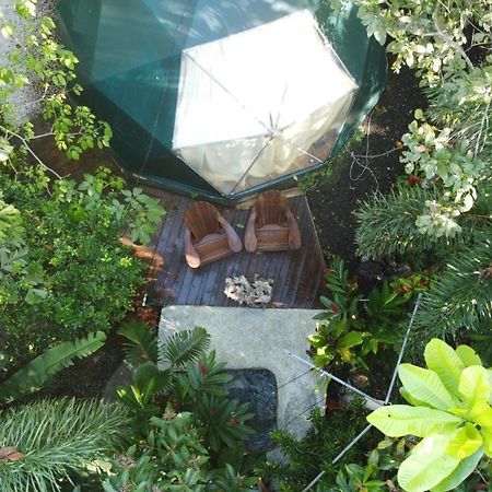 Momotus Glamping Hotel Florencia ภายนอก รูปภาพ