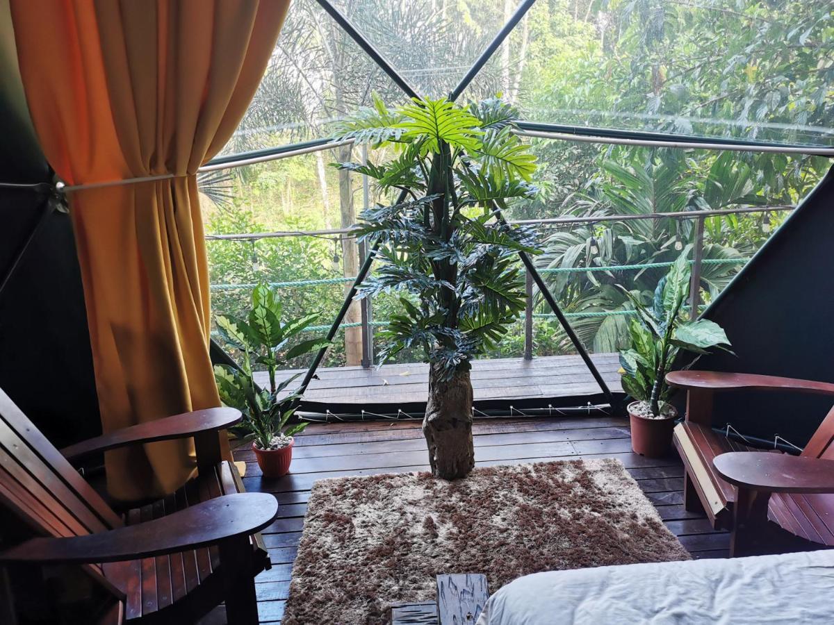 Momotus Glamping Hotel Florencia ภายนอก รูปภาพ