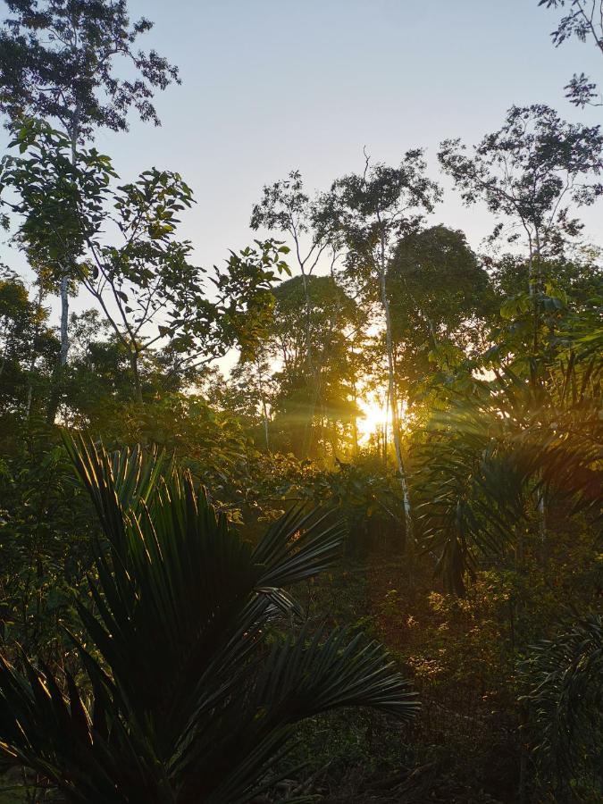 Momotus Glamping Hotel Florencia ภายนอก รูปภาพ