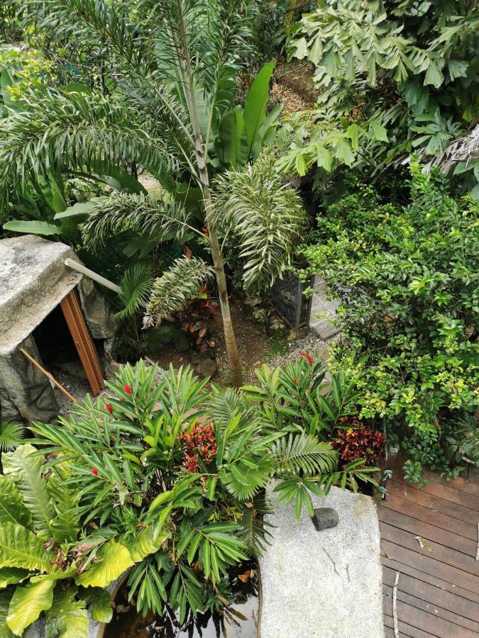 Momotus Glamping Hotel Florencia ภายนอก รูปภาพ