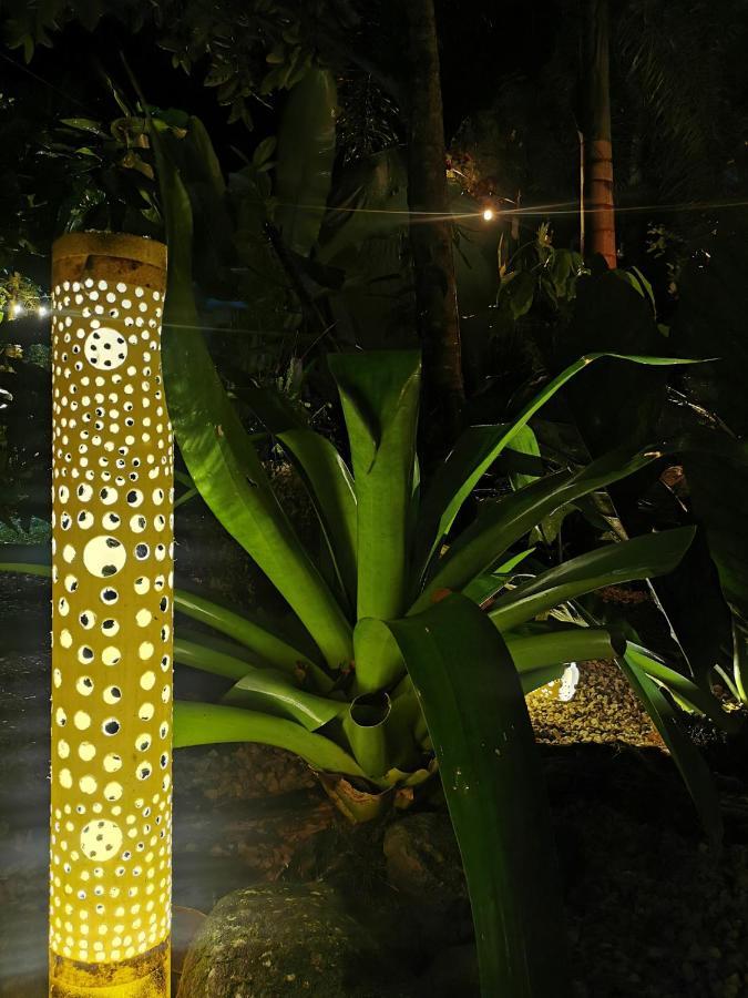 Momotus Glamping Hotel Florencia ภายนอก รูปภาพ