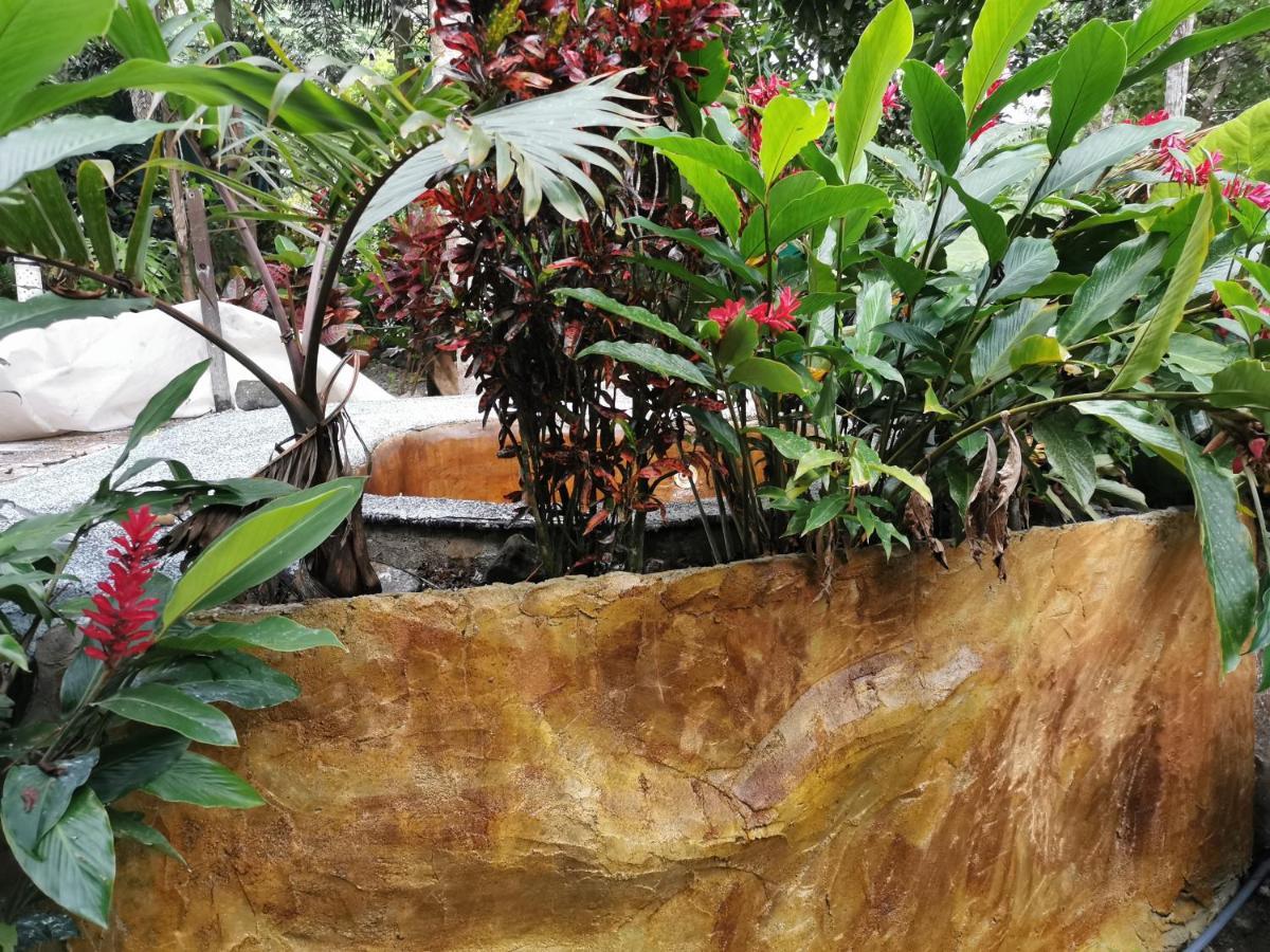 Momotus Glamping Hotel Florencia ภายนอก รูปภาพ