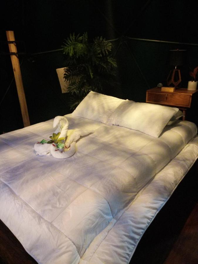 Momotus Glamping Hotel Florencia ภายนอก รูปภาพ