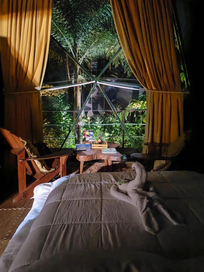 Momotus Glamping Hotel Florencia ภายนอก รูปภาพ