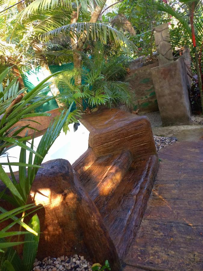 Momotus Glamping Hotel Florencia ภายนอก รูปภาพ