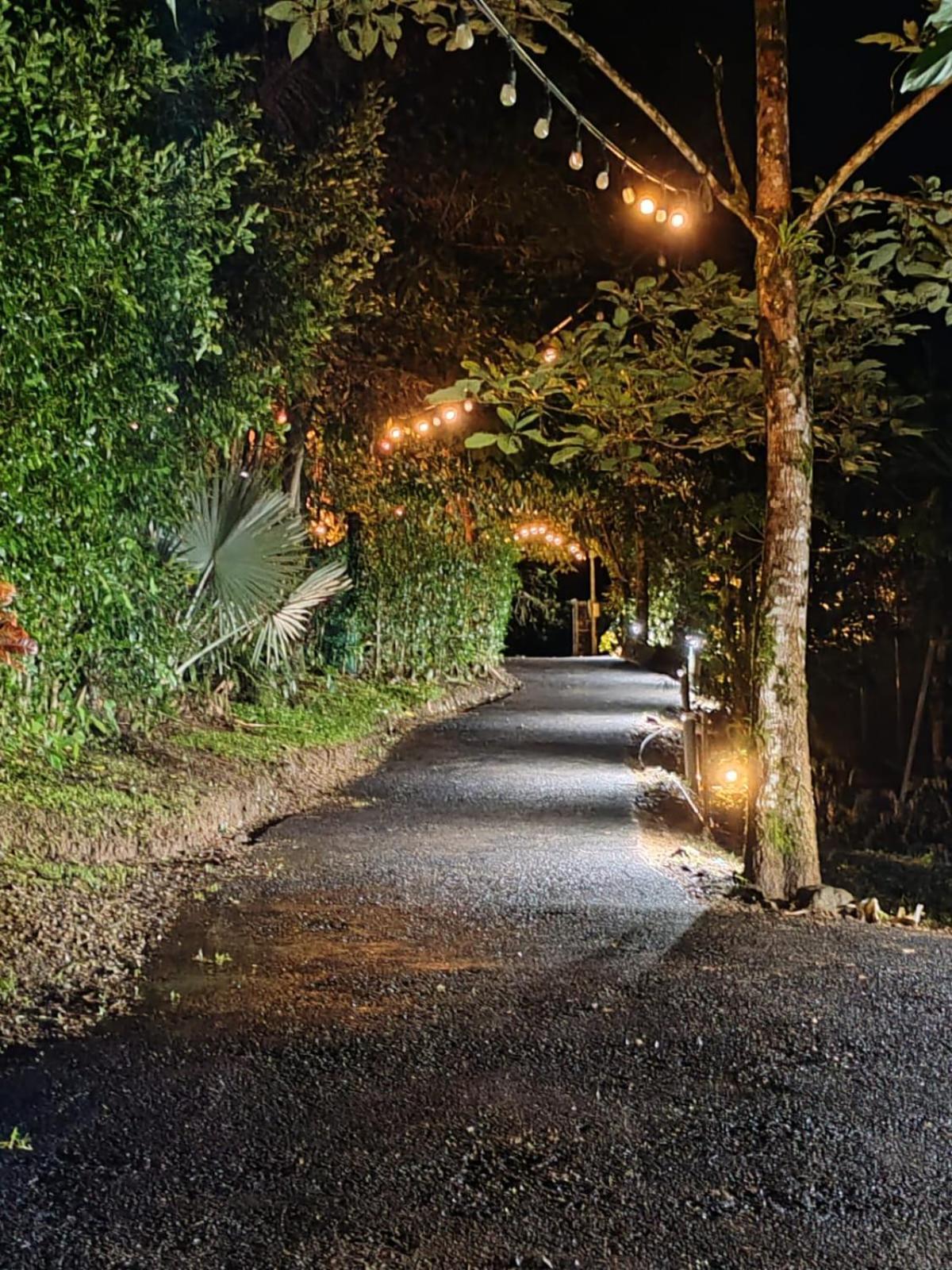 Momotus Glamping Hotel Florencia ภายนอก รูปภาพ